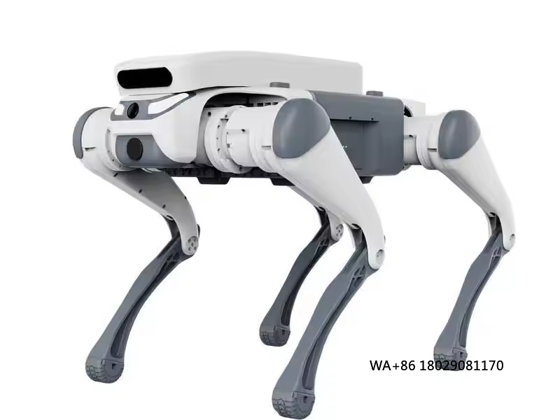 Remote Control Toys - Akıllı besleyici, dokunmatik sensörlü, yapay zekalı