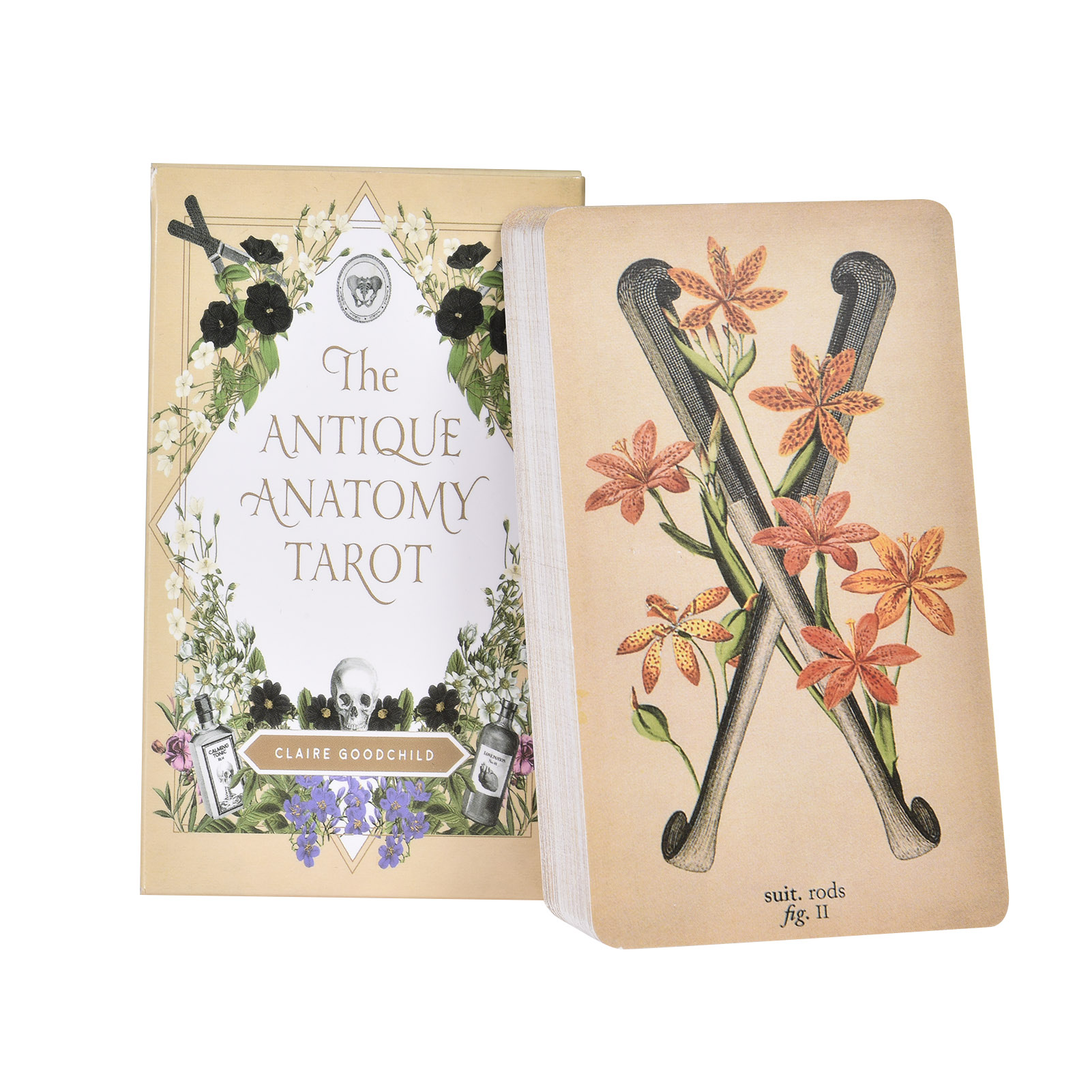 Antik Anatomi Tarot Kartları İ - Tarot Cards Deck With Guidebook incelemesi ve fiyatı