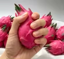 El Yapımı Simülasyon Pitaya Ya - Building Blocks incelemesi ve fiyatı
